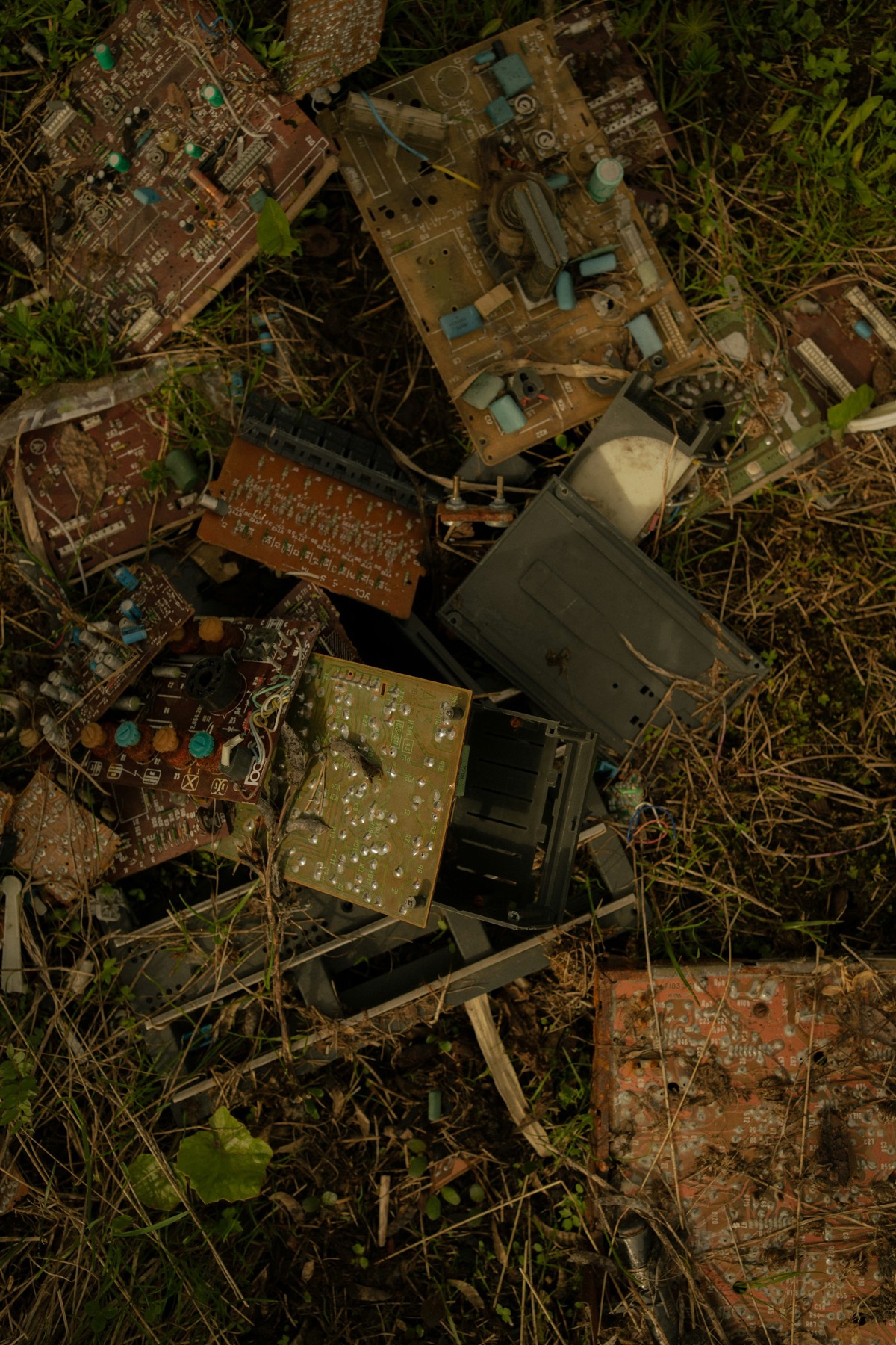 Discarded circuit boards weathering in grass, components still attached.